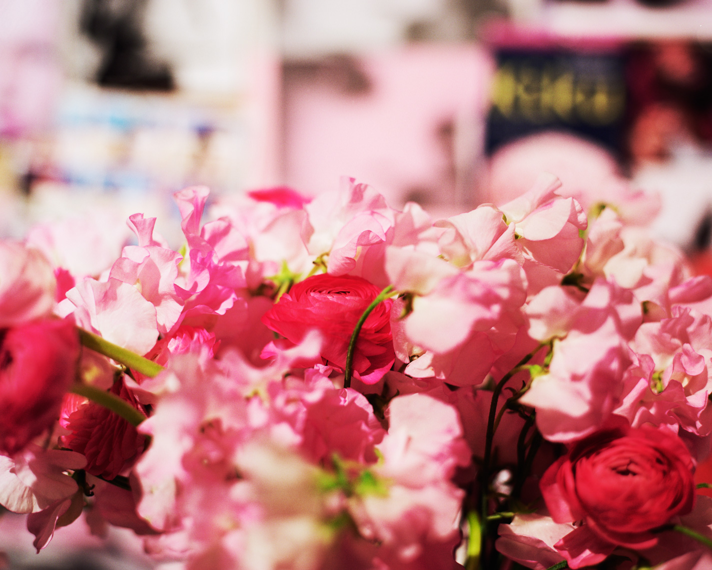 010_flowers-install_28