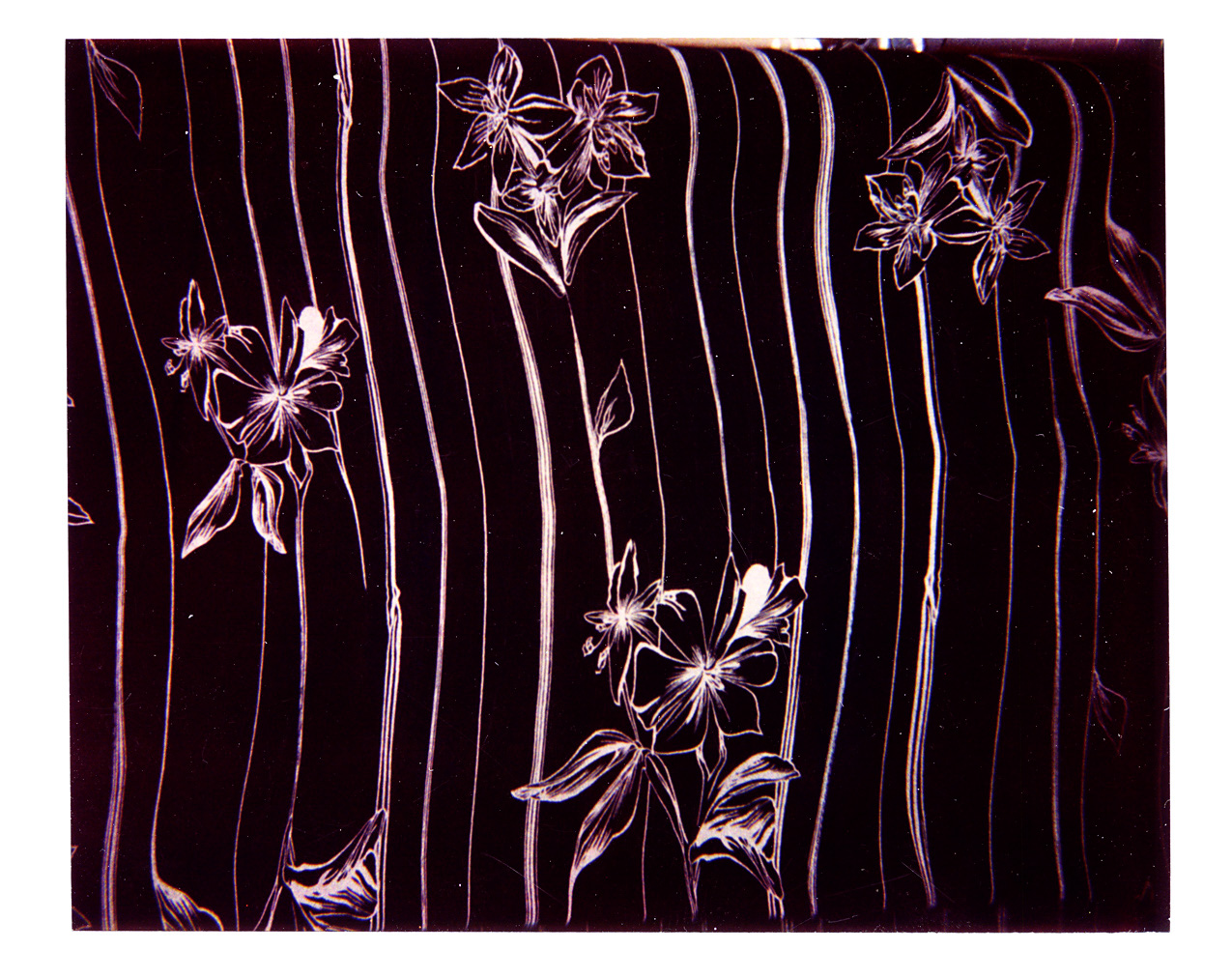625_polaroid-305