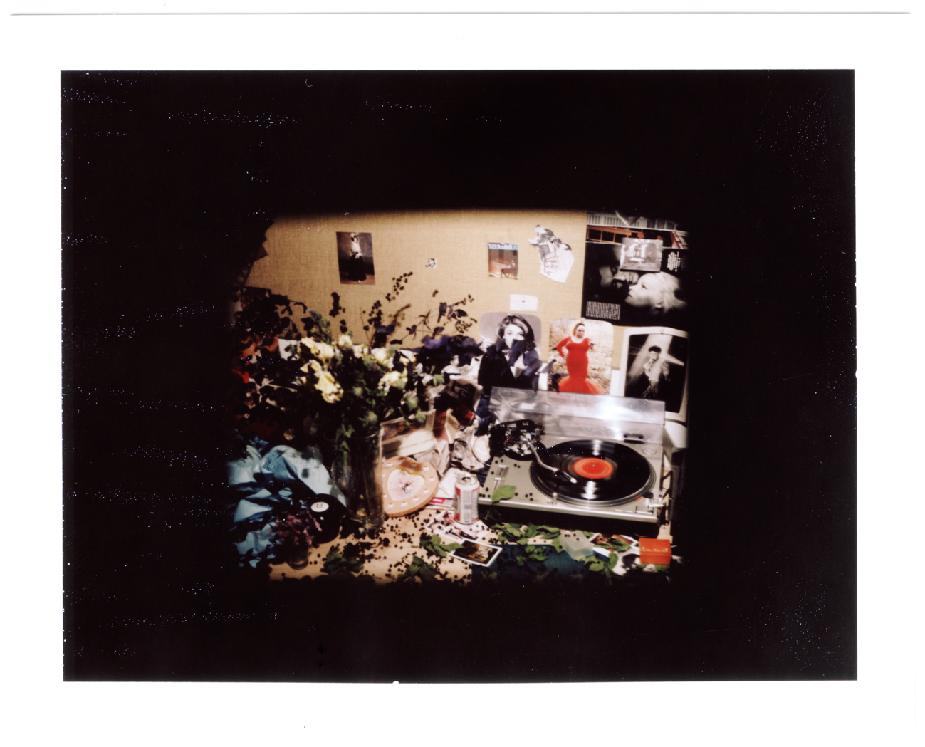 638_polaroid-still-life-01copy