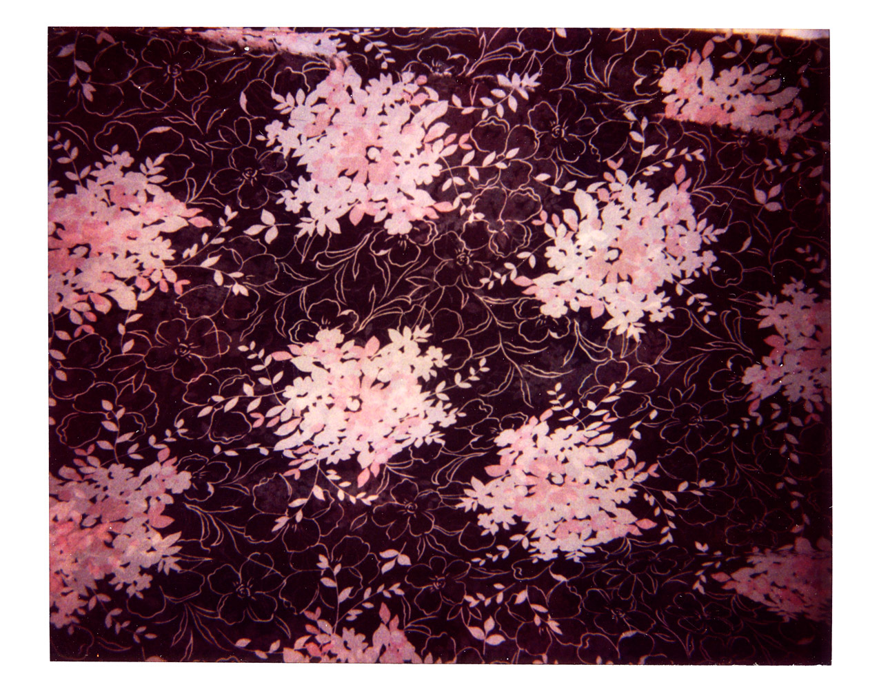 655_polaroid-304